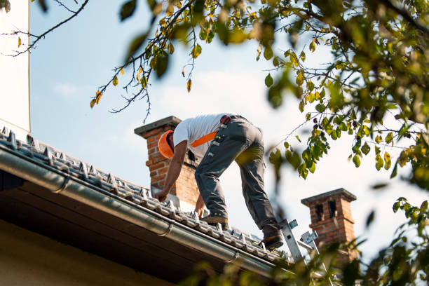 Best Steel Roofing  in Walnut Cove, NC