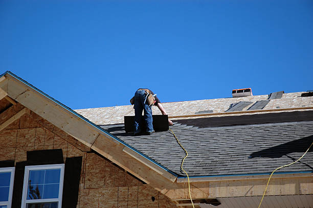 Best Roof Ventilation Installation  in Walnut Cove, NC